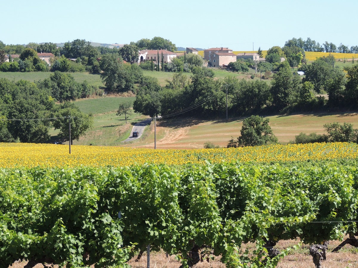 Domaine Rigaud (Tarn) Le domaine