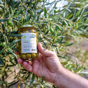 Olives vertes Picholine – Image 3