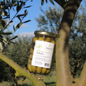 Olives vertes Picholine