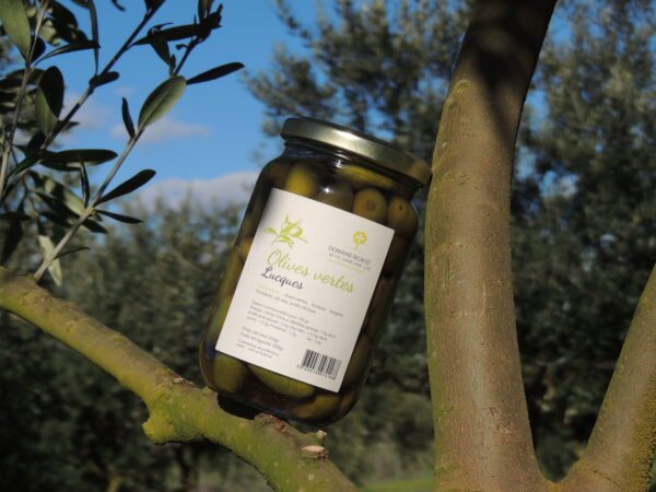 Olives vertes Lucques