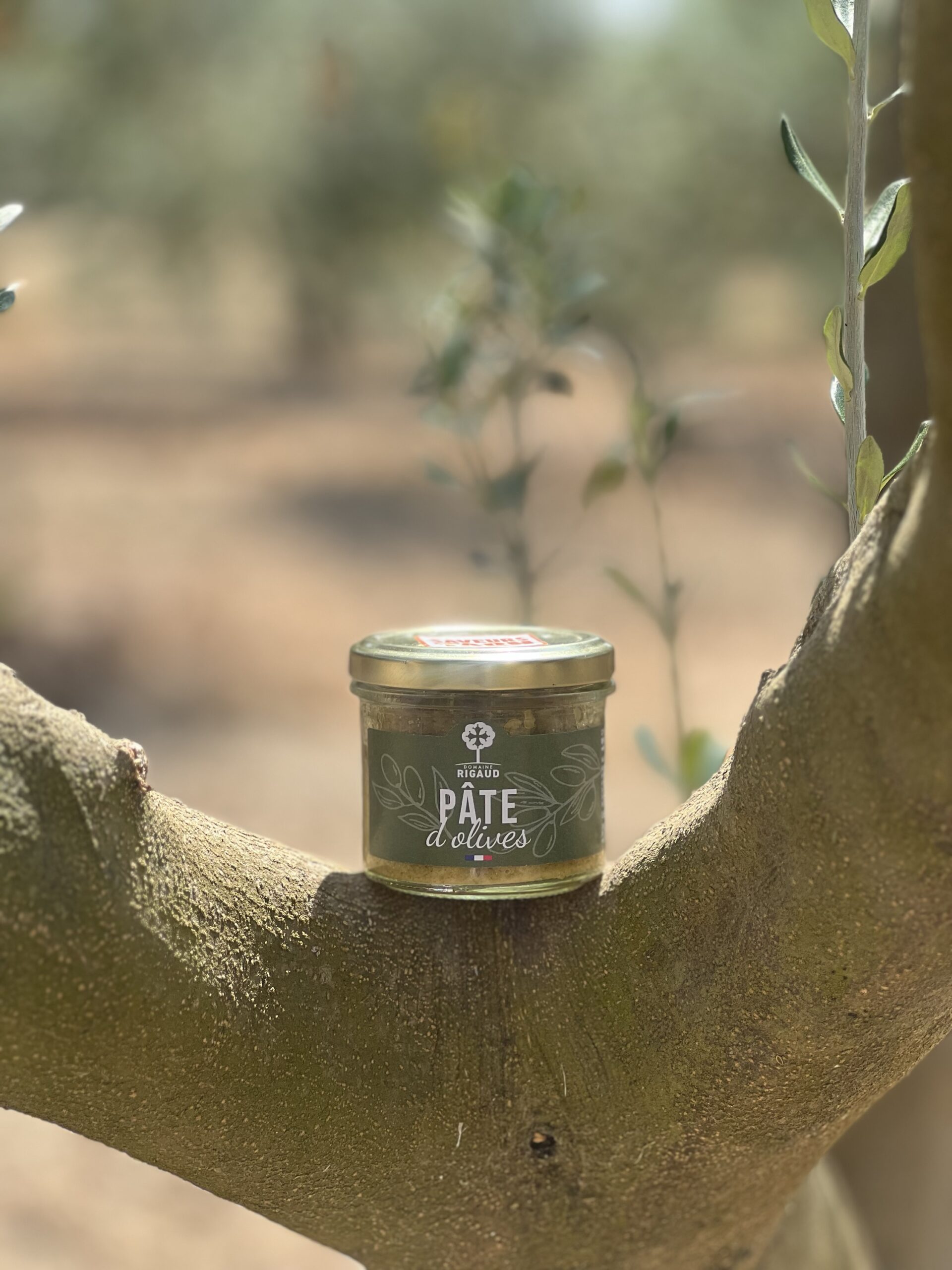 Pâte d’olives vertes